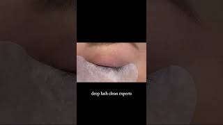 Mastering Lash Cleaning Techniquesshorts eyelashextensions beauty lashextensions [upl. by Button467]