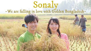 সোনালি  Sonaly  জাপানী ব্যান্ডের মুখে বাংলা গান  Original Song by Shunsuke amp Mae Watanabe [upl. by Horvitz]