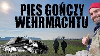 PIES GOŃCZY WEHRMACHTU [upl. by Areip140]