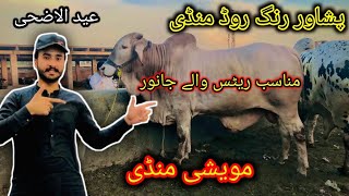 Maweshi Mandi Ring Road Peshawar Latest Updates Baray Or Chotay Janwar Munasib rates Bakra Eid 2024 [upl. by Anneehs]