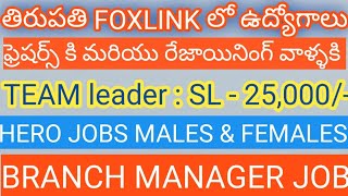 JOBS IN FOX LINK TIRUPATHI  HERO JOBS  LADEOS FEMALES JOBS  ALL DETILES IN TELUGU  BY BALA [upl. by Atis890]