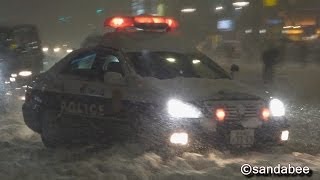 大雪の東京警視庁パトカーの目前を信号無視で逃げ切る4WD車。Flew out from a police car [upl. by Seadon953]