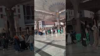 Ya Allah Semoga Yang Subscribe Channel Ini Bisa Segera Umroh Umrah Haji Ke Tanah Suci Makkah Madinah [upl. by Serle872]