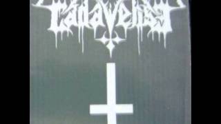 Cadaverise  Black Metal Journey Demo [upl. by Rengaw]