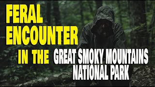 FERAL ENCOUNTER in the GREAT SMOKY MOUNTAINS NATIONAL PARK [upl. by Lenahs]