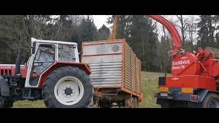 Hackgut Erzeugung mit STEYR 8085  Eschelböck Biber 78 und Massey Ferguson [upl. by Tomkiel]