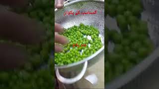 MATTAR PULAO PEAS RICE  MATTAR PULAO RECIPE mattarpulao pakistanifood shorts youtubeshorts P2 [upl. by Ashia131]