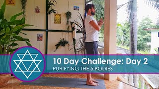 Purifying The 5 Bodies Day 2  10 Day Challenge [upl. by Dnomyar]