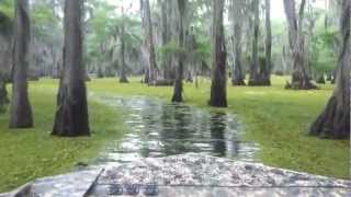 Caddo Lake 2012 [upl. by Cheston]