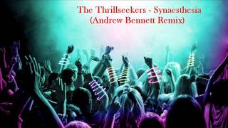 The Thrillseekers  Synaesthesia Andrew Bennett Remix [upl. by Naeerb383]