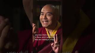 Experience in Meditation with Mingyur Rinpoche [upl. by Aicekat492]