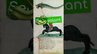 Le cerfvolant cache un serpent volant  🐍🪁 histoire culturegenerale étymologie [upl. by Hubsher]