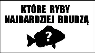 Które rybki akwariowe najbardziej zanieczyszczają akwarium [upl. by Kirtap]