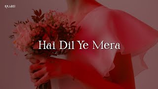 Hai Dil Ye Mera  Lofi Slowed  Reverb  Arijit Singh  KN Lofi [upl. by Oidiple]