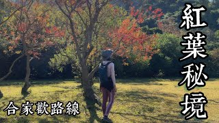 大嶼山秘境紅葉🍁 輕鬆易行沿海路線  世外桃源無人沙灘🏝  Lantau Island 🏝️ Shap Long [upl. by Zulaledairam]