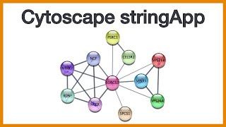 Cytoscape stringApp Brief introduction to the app that brings STRING networks to Cytoscape [upl. by Endo670]