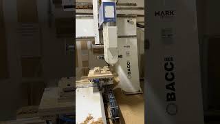 Bacci Artist CNC machining center cncmachine [upl. by Gonzalez]