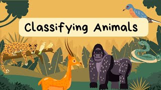 The Animal Song  Classifying Animals Learn Animals Kids Animal Songs [upl. by Soraya787]