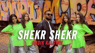 Rudik Kaloyan  Shekr Shekr [upl. by Ijic83]