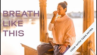 Nadi Shodana Pranayama Alternate nostril breathing [upl. by Edgell]