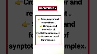 PACHYTENE biology [upl. by Donielle]