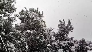 Heavy snowfall in Veria Greece 1422021 slow motion [upl. by Egrog]