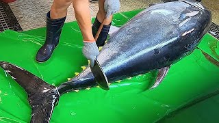 Worlds Sharpest Knife vs 600lb Giant Bluefin Tuna Masterful Sashimi Cutting [upl. by Allemaj]