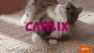 CATFLIX「動きたいのに」篇 60秒 [upl. by Eardna]