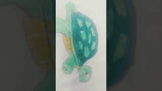 My tortoise 🐢 drawing friends you like my drawing subscribe friends [upl. by Nesyla]