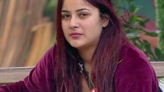 shehnaz gill actressBigg boss 13Bigg boss Salamankhan [upl. by Ynatterb840]