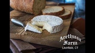 Connecticut Farmstead Cheese a Look into Arethusa Farm Dairy [upl. by Eido]