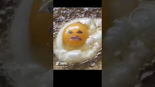 LIFE OF EGGfunny🤣🤣shorts viralshortscomedy shorts [upl. by Alrak]