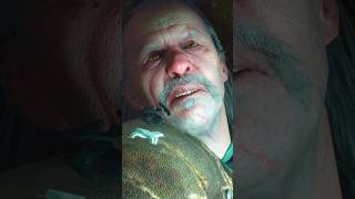 Vesemirs Death The Witcher 3 Wild Hunt [upl. by Sascha786]