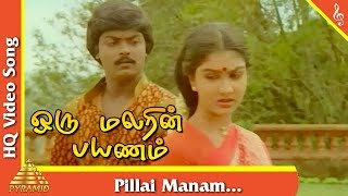 Pillai Manam Song Oru Malarin Payanam Tamil Movie Songs SulakshanaMuraliUrvasi Pyramid Music [upl. by Gnihc]