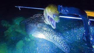 Night Spearfishing Episode 22  Moray Eel amp Rabbit Fish [upl. by Jessa121]