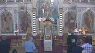 Matins amp Divine Liturgy 1132024 [upl. by Ednarb]