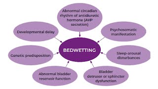 PATHOLOGY OF ENURESIS AND INCONTINENCE IN CHINESE MEDICINE [upl. by Walling783]