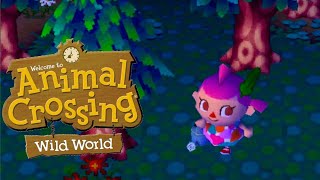 Animal Crossing Wild World  Where Are The Cherry Blossoms 🌸 [upl. by Ase]