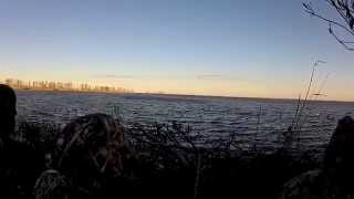 Lake Mattamuskeet Waterfowl Hunt 2014 [upl. by Faubion706]