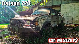 Abandoned Datsun 720 4x4 King Cab Can we Save it Will it Run [upl. by Chambers724]