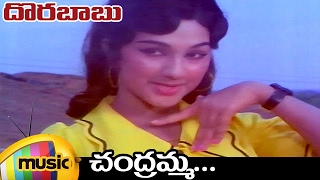 ANR Hit Songs  Dora Babu Telugu Movie  Chandragiri Chandramma Full Video Song  Manjula [upl. by Lethia496]