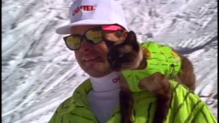 Cat on Skiers Shoulder at Catskinner [upl. by Gilchrist]