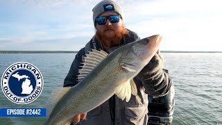 Michigan Walleye Tour Wildlife Museum Michigan Out of Doors TV 2442 [upl. by Hsuk118]