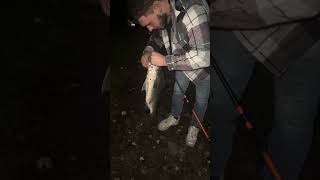 Went catfishing and caught a 6lb striped bass instead viralvideo fishing stripedbassfishing [upl. by Mmada]