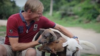 Rescue Paws  Dog Rescue amp Rehabilitation in Thailand with Global Work amp Travel [upl. by Drape]