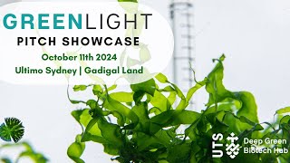 Green Light Pitch Showcase 2024 [upl. by Franny]