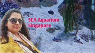 SEA Aquarium Singapore Tour  My Singapore Trip  Sea Aquarium Siloso Beach Island  Singapore [upl. by Myrlene996]