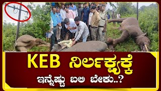 Elephant Death  ಮಲೆನಾಡಲ್ಲಿ ಕಾಡಾನೆಗಳ ಸಾವಿಗೆ ಕೊನೆ ಎಂದು KEB ನಿರ್ಲಕ್ಷ್ಯಕ್ಕೆ ಜನಾಕ್ರೋಶ Sakaleshpura [upl. by Fulviah628]