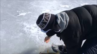 Ice Fishing for Chain Pickerel  Long Island [upl. by Akeenahs748]