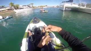 Raby Bay Fishing on Dragon Kayaks [upl. by Darken766]